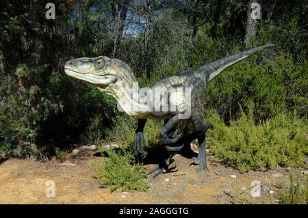 Dromaeosaurus, 'Swift Running Lizard', Dinosaur, a Theropod Dinosaur from the Raptor Family of Dinosaurs in Forest Stock Photo