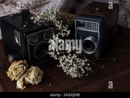 Vintage film Cameras, studio set up with old and new flowers creating a contrast Stock Photo