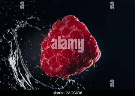Raspberries in water with a splash of water on a black background close-up Stock Photo