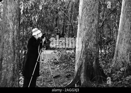 high contrast black and white photo of a woman in a long formal coat and white knit hat, taking a photograph in the forest. Stock Photo