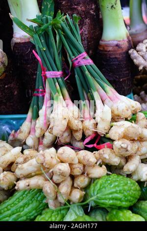 Fresh young ginger roots at an Asian market Stock Photo - Alamy