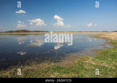 Clouds reflecting in water on a flooded meadow - nice spring day Stock Photo