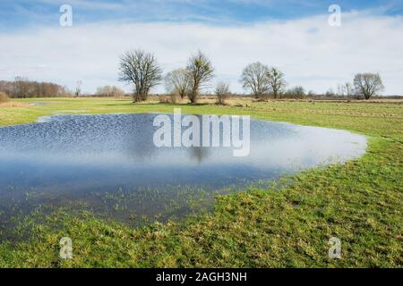 Landscape of idyllic spring green meadow, water after rain, trees and sunny sky Stock Photo