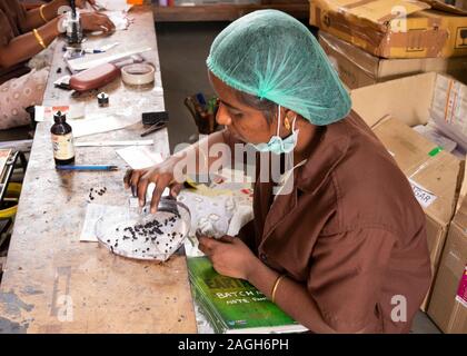 Side view of female worker working in Ashtanga Ayurvedics,Tiruchirappalli,Tamil Nadu, India Stock Photo