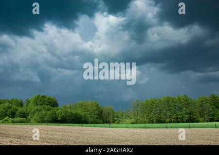 Dark stormy clouds in the sky, trees and field Stock Photo