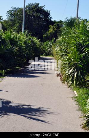 The Bike Trail at the Park in Tulum Pueblo, Mexico Stock Photo