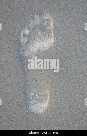 Footprint in sand on the beach Stock Photo