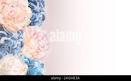 Elegant floral background with gentle pink peonies and blue hydrangea flowers. Romantical botanical design for greeting card, wedding invitation, web Stock Photo