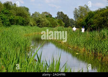 People walking along Wicken Lode River, Wicken Fen Nature Reserve, Wicken, Cambridgeshire, UK Stock Photo