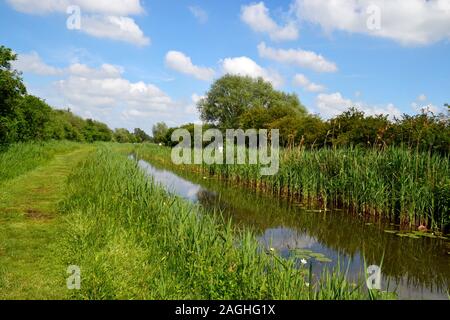Wicken Fen Nature Reserve, Wicken, Cambridgeshire, UK Stock Photo