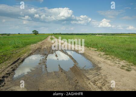 Puddles on a sandy road through fields and clouds on a blue sky - spring view Stock Photo