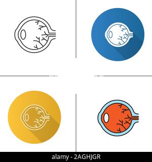 Eye anatomy color icon. Sore eye. Isolated vector illustration Stock ...