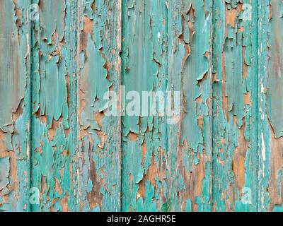 Old peeling and flaking green paint on wooden slats Stock Photo