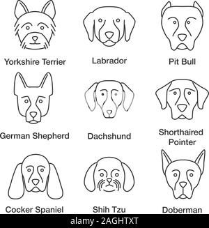 Dogs breeds linear icons set. Thin line symbols. Yorkshire Terrier, Labrador, German Shepherd, dachshund, Cocker Spaniel, Shih Tzu, pit bull, Doberman Stock Vector