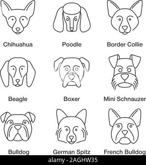 Dogs breeds linear icons set. Thin line contour symbols. Chihuahua, poodle, Border Collie, beagle, boxer, Mini Schnauzer, German Spitz, French, Englis Stock Vector