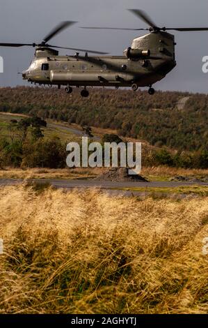 Royal Air Force CH47 Chinook heavy lift helicopter of 18 Squadron operating in the Otterburn Training Area in Northumberland. Stock Photo