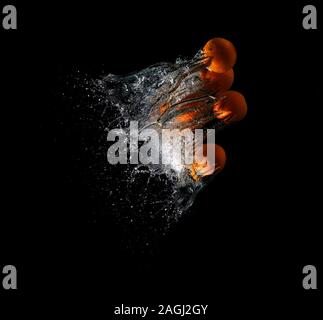 Five fresh oranges falling in water on a dark background Stock Photo