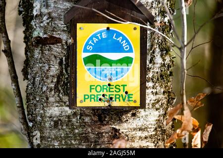 A faded metal New York State Land Forest Preserve sign nailed to a birch tree in the Adirondack Mountains, with bullet holes. Stock Photo