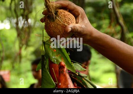 NAGPUR, MAHARASHTRA, INDIA - AUGUST 01 : People worship of Snake God in 'Nag Panchami' festival. It is traditional worship of snakes or serpents obser Stock Photo