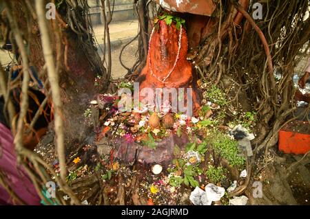 NAGPUR, MAHARASHTRA, INDIA - AUGUST 01 : People worship of Snake God in 'Nag Panchami' festival. It is traditional worship of snakes or serpents obser Stock Photo