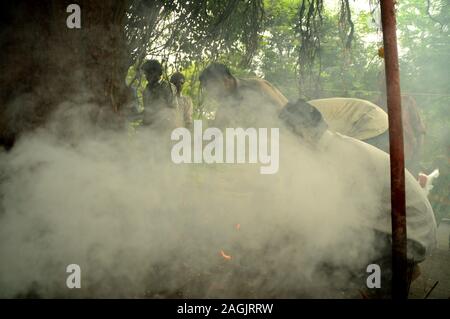 NAGPUR, MAHARASHTRA, INDIA - AUGUST 01 : People worship of Snake God in 'Nag Panchami' festival. It is traditional worship of snakes or serpents obser Stock Photo