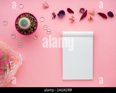 succulent flower, notepad, dry leaves and gift box on a bright pink background, top view, copy space, flat lay Stock Photo