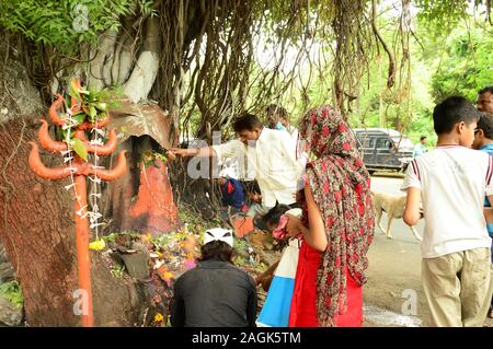 NAGPUR, MAHARASHTRA, INDIA - AUGUST 01 : People worship of Snake God in 'Nag Panchami' festival. It is traditional worship of snakes or serpents obser Stock Photo