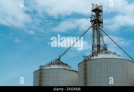 Agricultural silo at feed mill factory. Silo for store and drying grain, wheat, corn at farm. Agricultural manufacturing. Tank for store seed. Grain Stock Photo