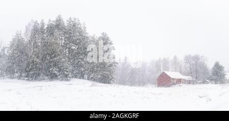 Heavy snowing landscape with snow and cottage at mood winter day in Finland Stock Photo