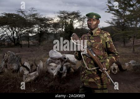 MASAI MARA, KENYA - Jan 01, 2013: A shallow focus shot of an African male soldier with animal skulls in the background Stock Photo
