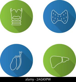 Internal organs flat linear long shadow icons set. Respiratory, urinary ...