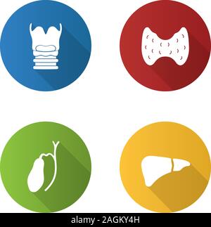 Internal organs flat design long shadow glyph icons set. Larynx, thyroid, gallbladder, liver. Vector silhouette illustration Stock Vector
