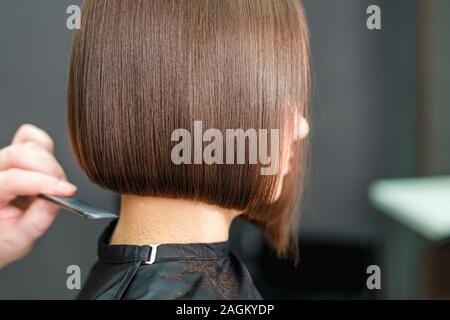 Hairdresser combs woman's brunette short hair with comb, close up, copy space. Stock Photo