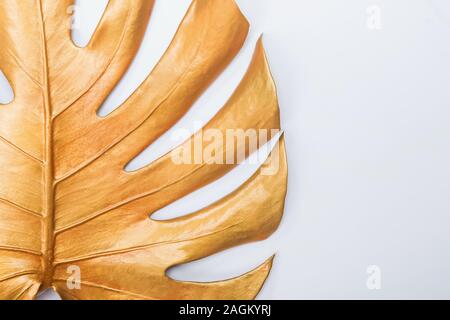 Big spray painted golden monstera leaf on pure white background. Stock Photo
