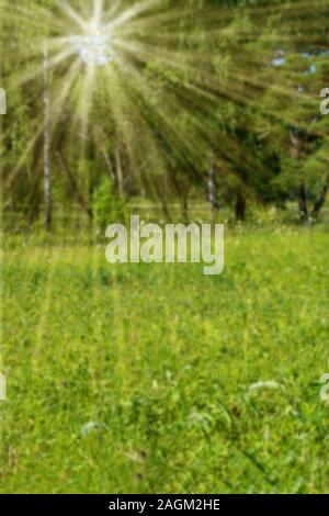 Nature green light blur background, Summer outdoor backdrop Stock Photo