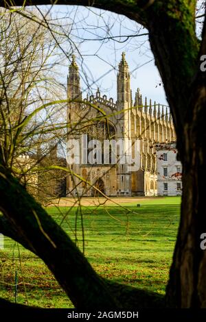 King's College Chapel taken from the backs of the College in Cambridge, Cambridgeshire, England, UK  Mark Bullimore Photography 2019 Stock Photo