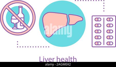 Liver health concept icon. Alcohol and antibiotics detoxification. Metabolism idea thin line illustration. Vector isolated outline drawing Stock Vector