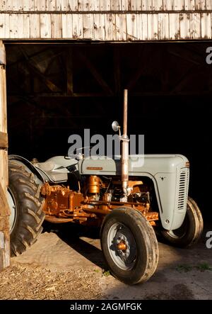 A Grey and Gold Ferguson Vintage Tractor in a wooden barn Stock Photo
