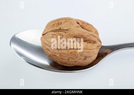 ripe nut on a spoon on a white background shot in a studio Stock Photo