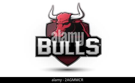 Logo Chicago Bulls Static cling Brand Font, Chicago Bulls Hair Graphics  Designs, text, label png | PNGEgg