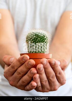 concept with a young man in shirt, holding a cactus with his hands suggesting care Stock Photo