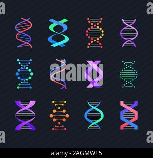 DNA molecule - line design style vector elements Stock Vector