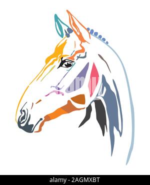 Colorful decorative contour portrait of racehorse looking  in profile. Vector illustration in different colors isolated on white background. Image for Stock Vector