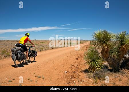 NM00182-00...NEW MEXICO - Following the Great Divide Mountain Bike Route north through the dry and hot Chiricahua Desert. Stock Photo