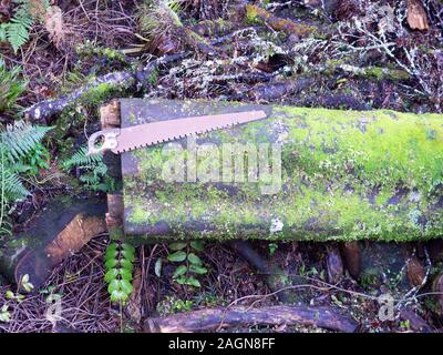 Old Rusted Saw On A Log Stock Photo