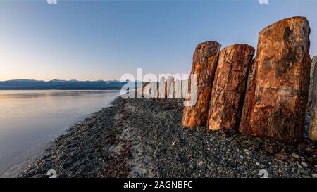 Goose spit regional park beach with logs on Vancouver Island, in the Comox Valley, British Columbia, Canada Stock Photo