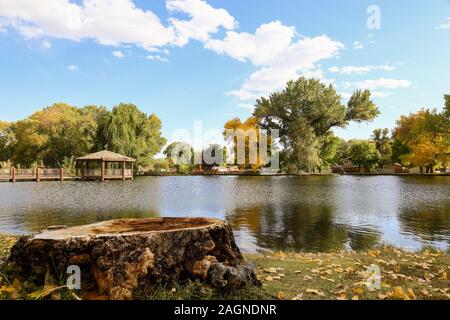 display of fall colors at a local park  in  Bishop, California on a peaceful day. Stock Photo
