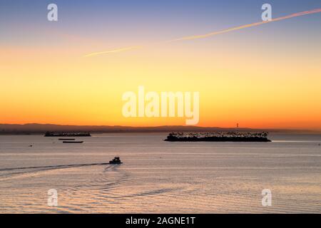 A wide view of Long Beach port, California from a cruise ship at dawn Stock Photo