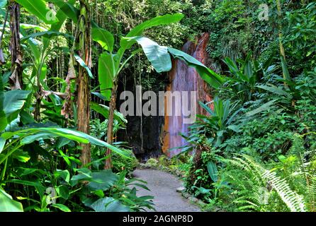 Diamond Waterfall in the Botanical Garden with tropical vegetation, Soufriere, St. Lucia, Lesser Antilles, West Indies, Caribbean Islands Stock Photo