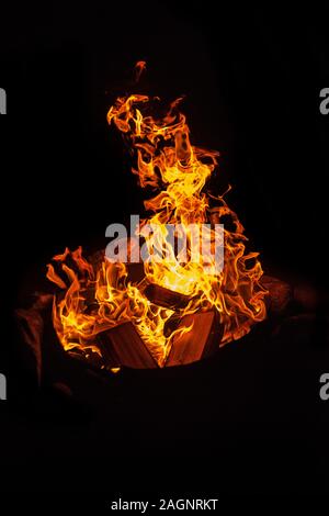 wood campfire with orange flames Stock Photo